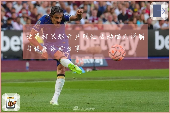 世界杯买球开户网址活动福利详解与使用体验分享