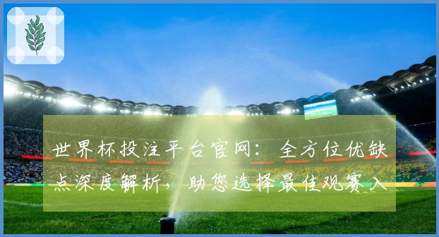 世界杯投注平台官网：全方位优缺点深度解析，助您选择最佳观赛入口