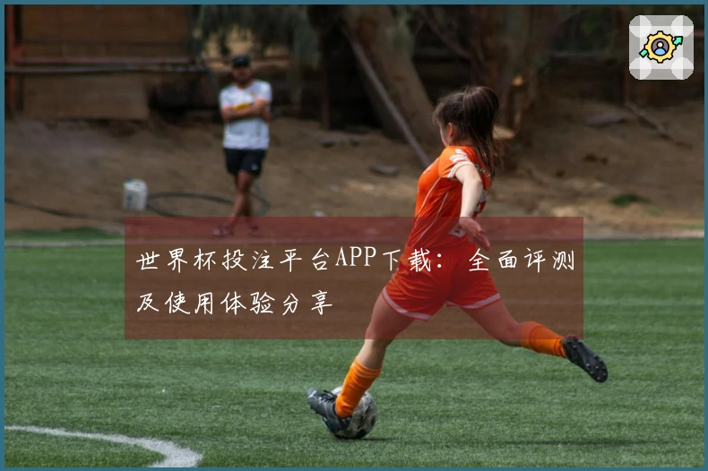 世界杯投注平台APP下载：全面评测及使用体验分享