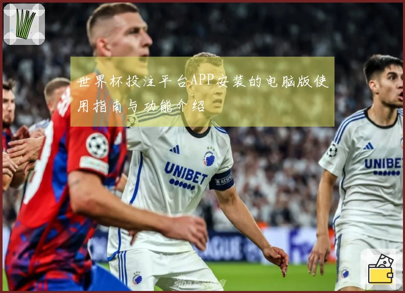 世界杯投注平台APP安装的电脑版使用指南与功能介绍