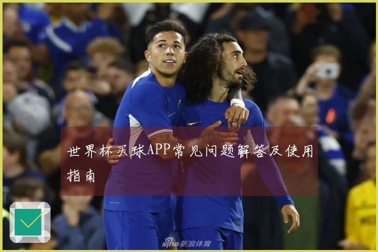世界杯买球APP常见问题解答及使用指南