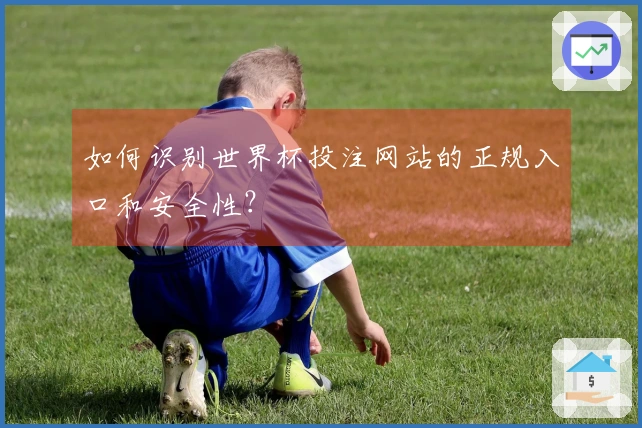 如何识别世界杯投注网站的正规入口和安全性？