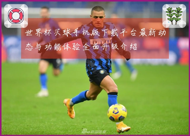世界杯买球手机版下载平台最新动态与功能体验全面升级介绍