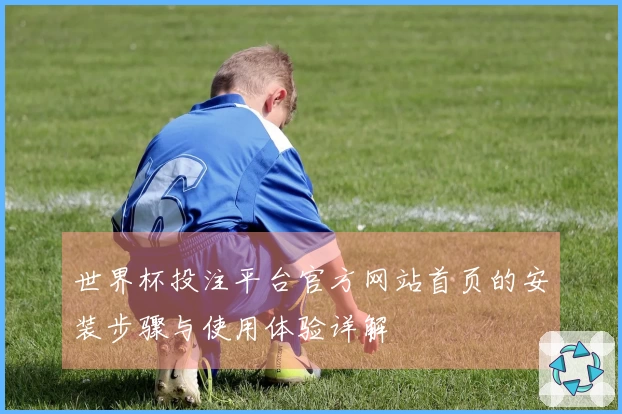 世界杯投注平台官方网站首页的安装步骤与使用体验详解