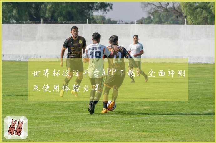 世界杯投注平台APP下载：全面评测及使用体验分享
