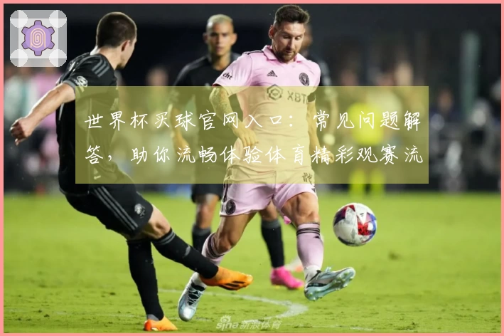 世界杯买球官网入口：常见问题解答，助你流畅体验体育精彩观赛流程