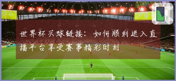 世界杯买球链接：如何顺利进入直播平台享受赛事精彩时刻