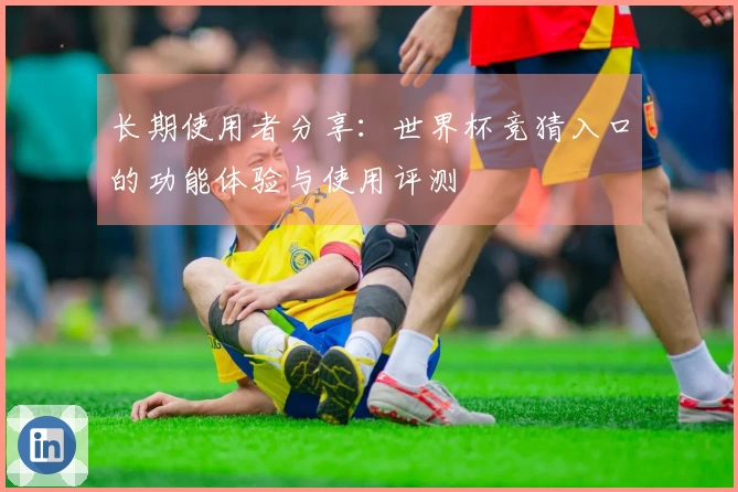 长期使用者分享：世界杯竞猜入口的功能体验与使用评测