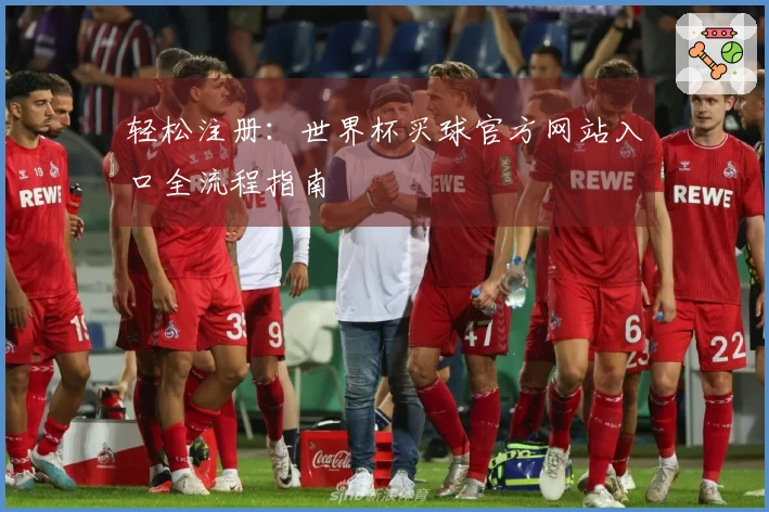 轻松注册：世界杯买球官方网站入口全流程指南