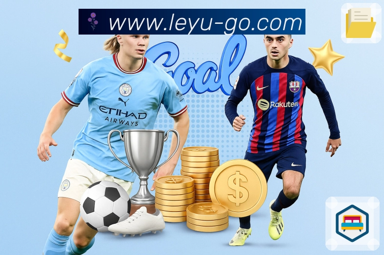 <strong>leyu</strong>入口防护与稳定